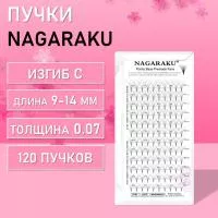 Пучковые черные ресницы Nagaraku Pointy Base 4D small